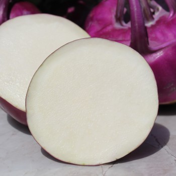 Kohlrabi Vienna Purple (Samen)