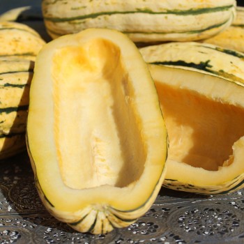 Kürbis Delicata (Buschkürbis) (Samen)