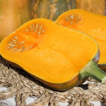 Kürbis Honeynut (Samen)