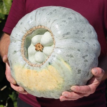 - Kopie - Kopie - Kopie - Kopie - Kopie