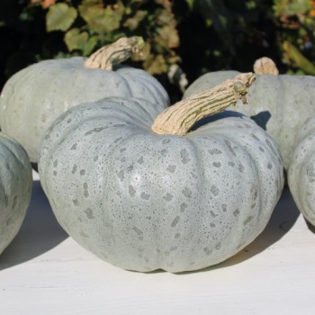 - Kopie - Kopie - Kopie - Kopie - Kopie