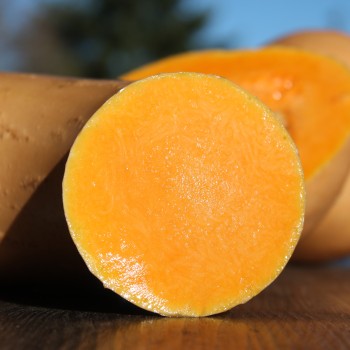 Kürbis Tahiti Melon (Samen)