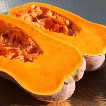 Kürbis Butternut Rugosa (Samen)