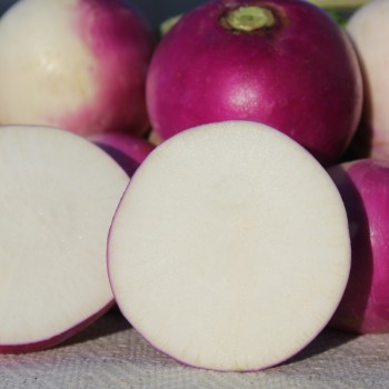 Mairübchen Globe à Collet Violet (Samen)