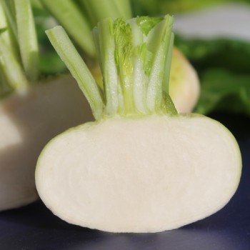 Mairübchen Platte Witte Mai (Samen)
