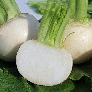 Mairübchen Snowball (Samen)