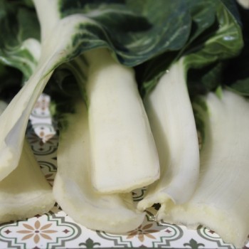 Mangold Barese (Samen)
