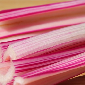 Mangold Peppermint Twist (Samen)