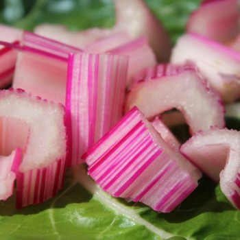 Mangold Peppermint Twist (Samen)