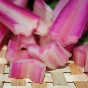 Mangold Pink Passion (Samen)