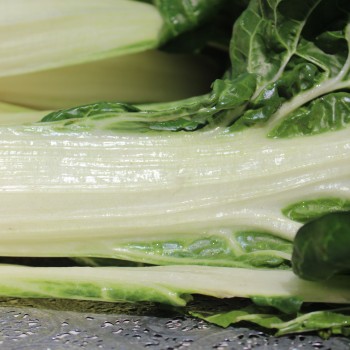 Mangold Silver Rib (Samen)