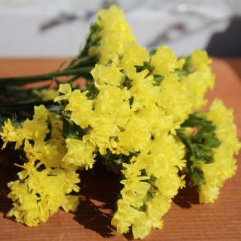 Meerlavendel - Statice Deep Yellow (Samen)