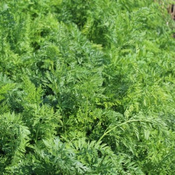 - Kopie - Kopie - Kopie - Kopie