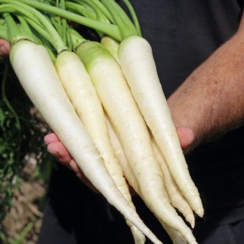 - Kopie - Kopie - Kopie - Kopie