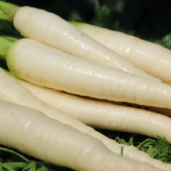 - Kopie - Kopie - Kopie - Kopie