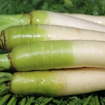 - Kopie - Kopie - Kopie - Kopie