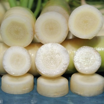 - Kopie - Kopie - Kopie - Kopie