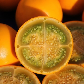 Naranjilla - Lulo (Samen)