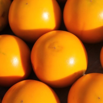 Naranjilla - Lulo (Samen)