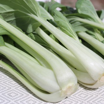 Pak Choi Tai Sai (Samen)