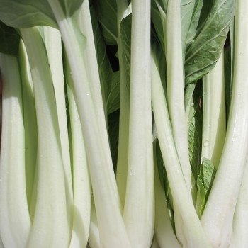 Pak Choi Tai Sai (Samen)