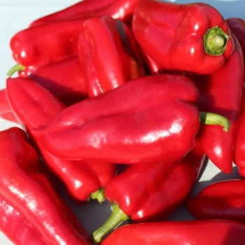 Paprika Capia (Samen)