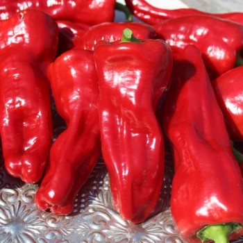 Neu! Paprika Cubanelle (freilandgeeignet) (Samen)