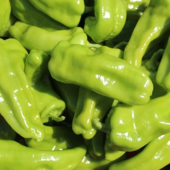 Neu! Paprika Cubanelle (freilandgeeignet) (Samen)