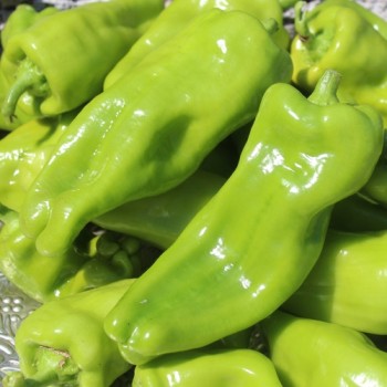 Neu! Paprika Cubanelle (freilandgeeignet) (Samen)