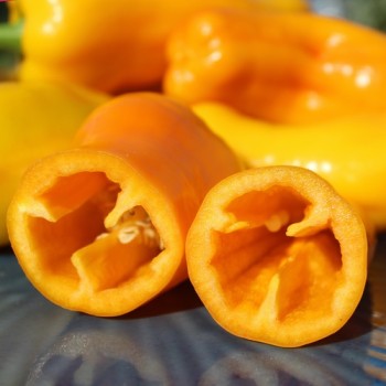 Neu! Paprika Damu Prieks (Samen)