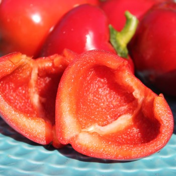 Paprika Dumas (freilandgeeignet) (Samen)