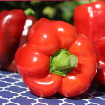 Paprika Emerald Giant (Samen)