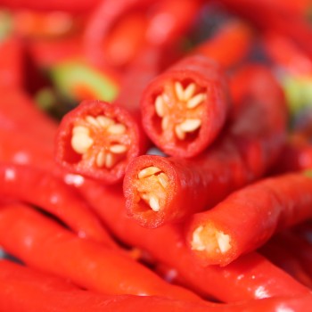 Paprika Himo Togarashi (Samen)