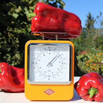 Paprika Infantes (Samen)