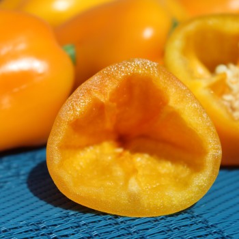 Paprika Jarik (freilandgeeignet) (Samen)