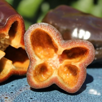 Paprika Karamel (Samen)