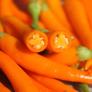 Paprika Medusa Orange (Samen)
