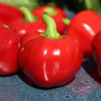 Paprika Nora (Samen)