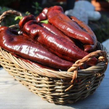 Neu! Paprika Palermo Brown (Samen)