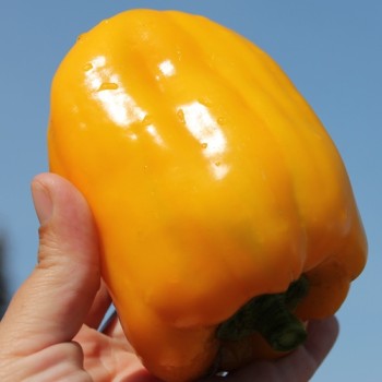 - Kopie - Kopie - Kopie - Kopie