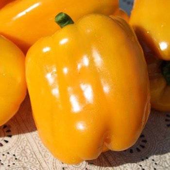 - Kopie - Kopie - Kopie - Kopie