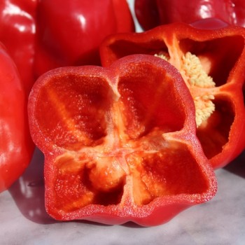 Paprika Quadrato d’Asti Rosso (Samen)