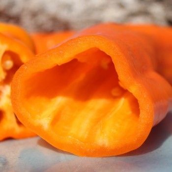Neu! Paprika Ramiro Orange (Samen)