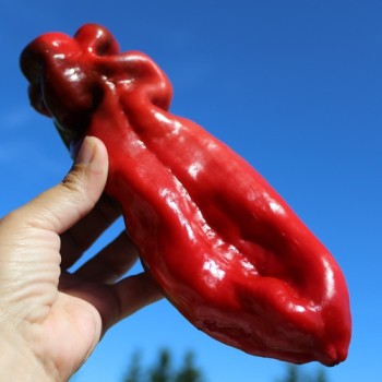 Paprika Ramiro Red (Samen)