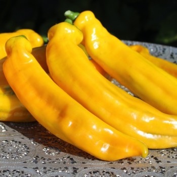 Neu! Paprika Ramiro Yellow (Samen)