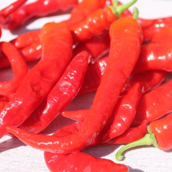 Paprika Romanian Sweet (Samen)