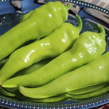 Paprika Sigaretta Bionda (Samen)