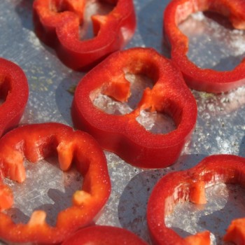 Szegediner Paprika (Samen)