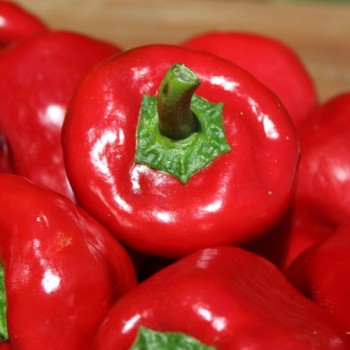 Neu! Paprika Zipfelmütze (freilandgeeignet) (Samen)