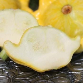 Patisson Gelber Englischer Custard (Samen)